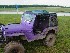 Todds Willys